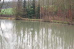 DSCI0066