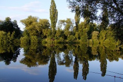 teichfest_2010_5