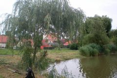 sany0018
