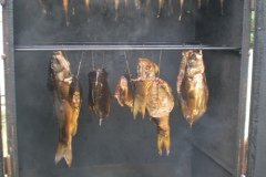 sany0056