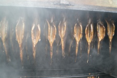 sany0059