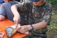 sany0097