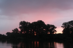 IMG_1922